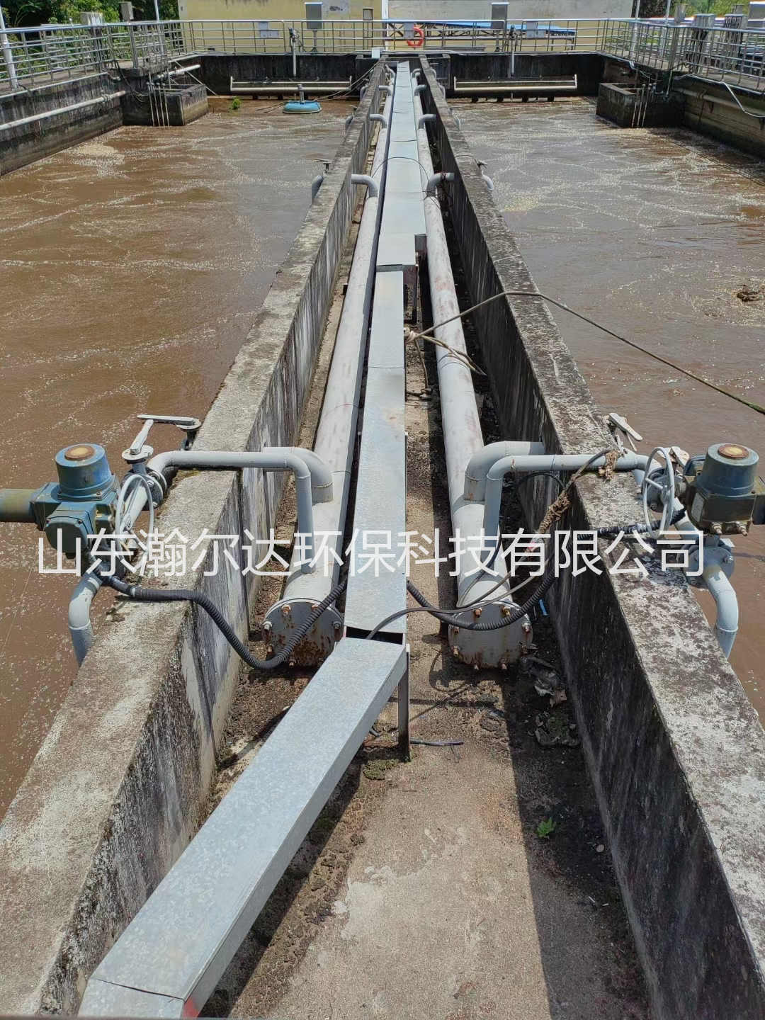 污水处理中活性污泥如何培养？